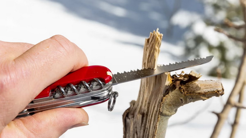 Best Victorinox Camping Knife